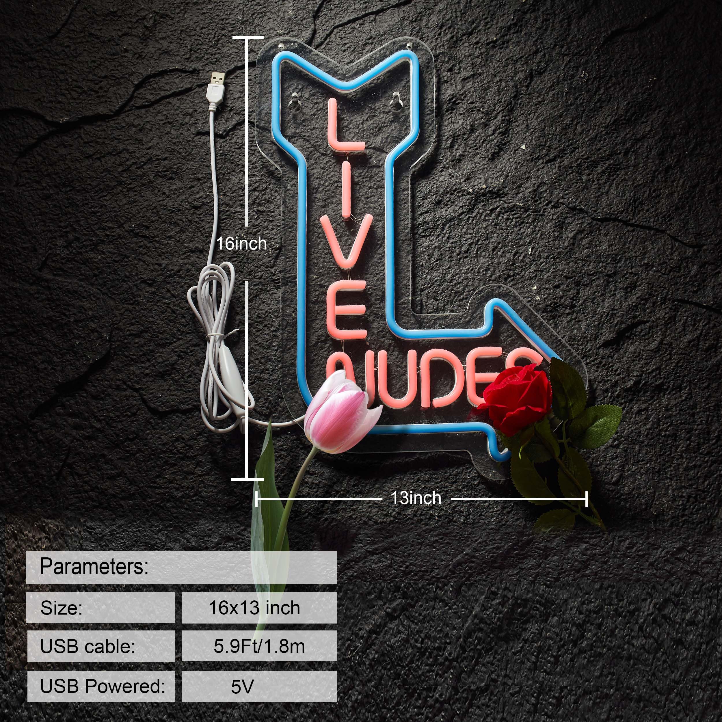 Maryland Insegna Al Neon Rossa ZKXD183 | Luce LED A Forma Di Scritta Per Dormitorio, Bar, Club | Regalo Per Ragazzi - 6