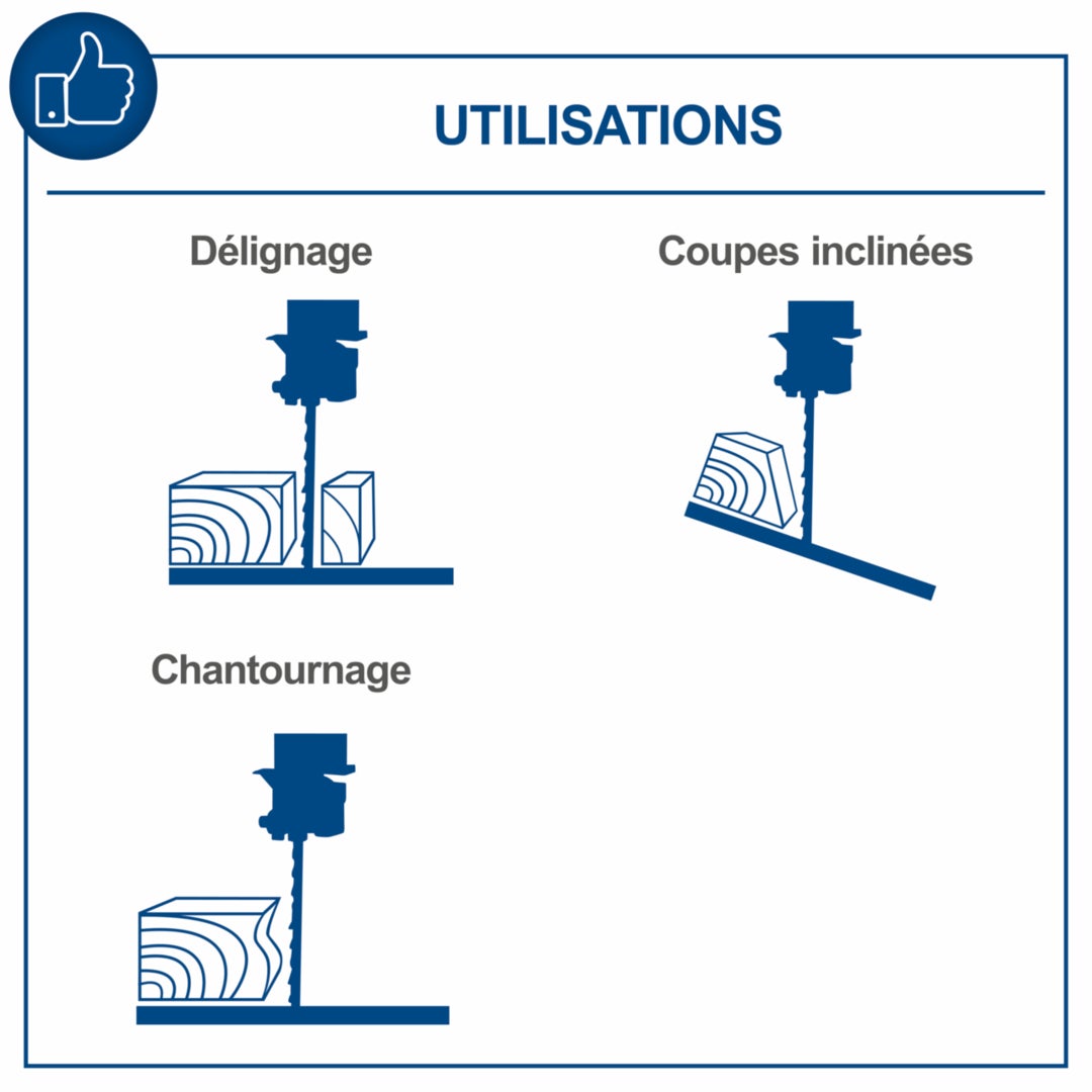 Scheppach Scie à ruban professionnelle BASA3 – 230 V – 800 W – Hauteur de coupe 205 mm – Largeur de coupe 306 mm – Vitesse 370-750 m/min - 3