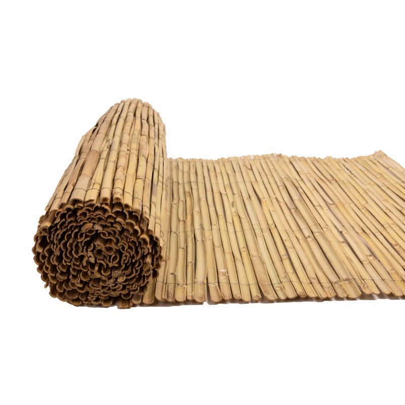 Canniccio naturali per giardino, 1,5 x 5 m, utili per Giardini e Balconi, Frangivento, occultamento al 95%. - 6