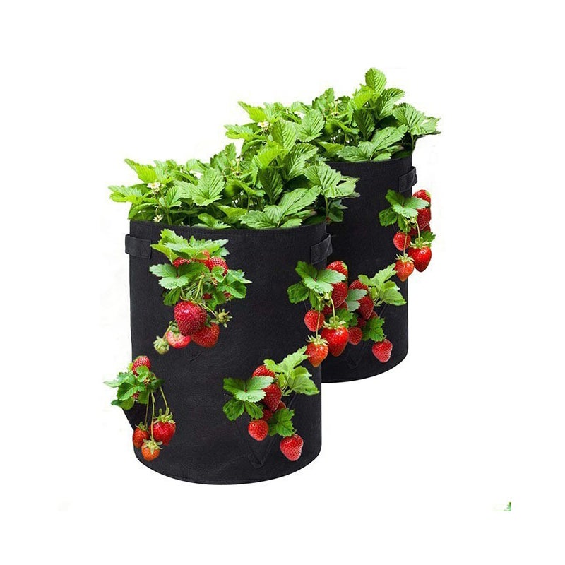 Zestaw 2 worków do sadzenia truskawek, odpowiednich do pojemników na rośliny wewnątrz i na zewnątrz, czarne - 5 galonów (3 otwory 25 x 30 cm)