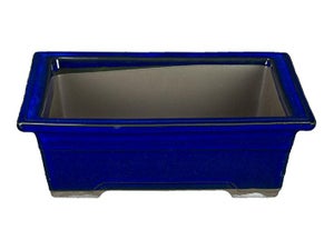Vaso per bonsai Giapponese Morrisan rettangolare in gres smaltato blu 11x8, 5x4,5 cm - B05-1b | Leroy Merlin