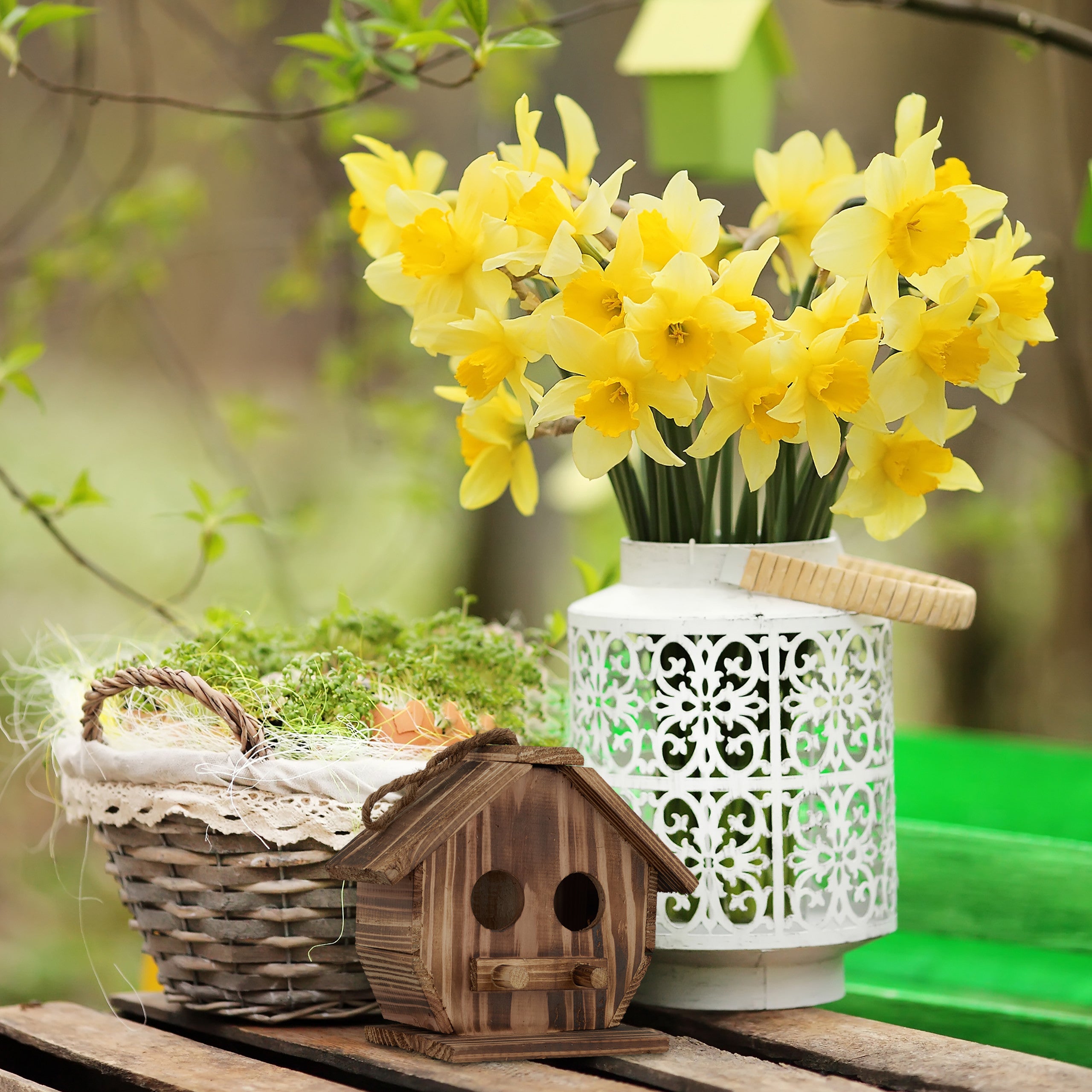 Nido Per Uccelli In Fibra Di Bambù - Verde, 16x16x19 Cm, Per Giardino, Con Gancio - Foto 2