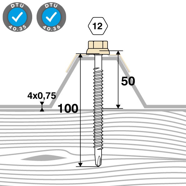 Kit 50 fixations bac acier sur bois Ø6,3 x 100 BEIGE RAL1015 SCELL-IT - 4