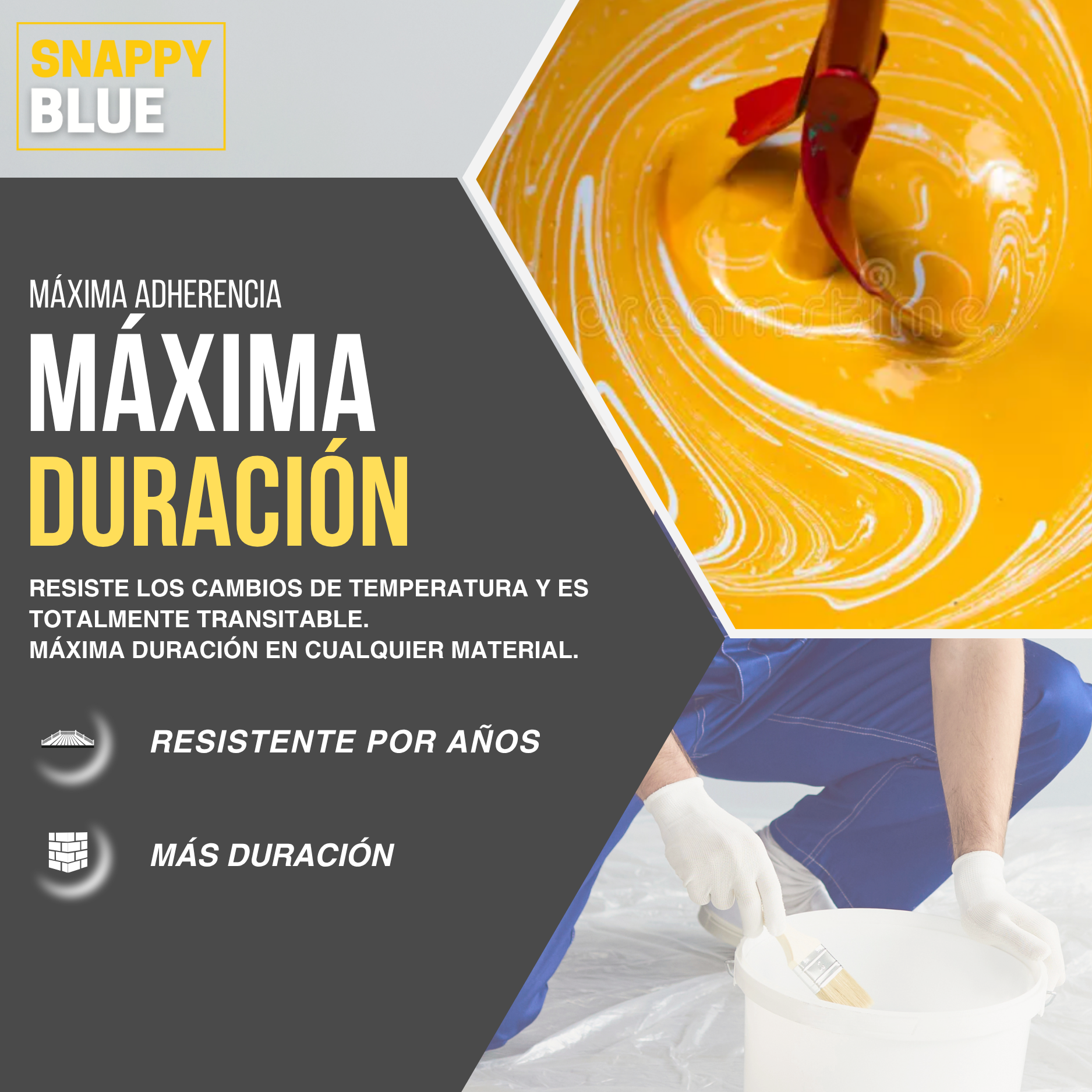 Colorant concentré à l'eau TINTAMAR Marron 250 g pour peintures ...