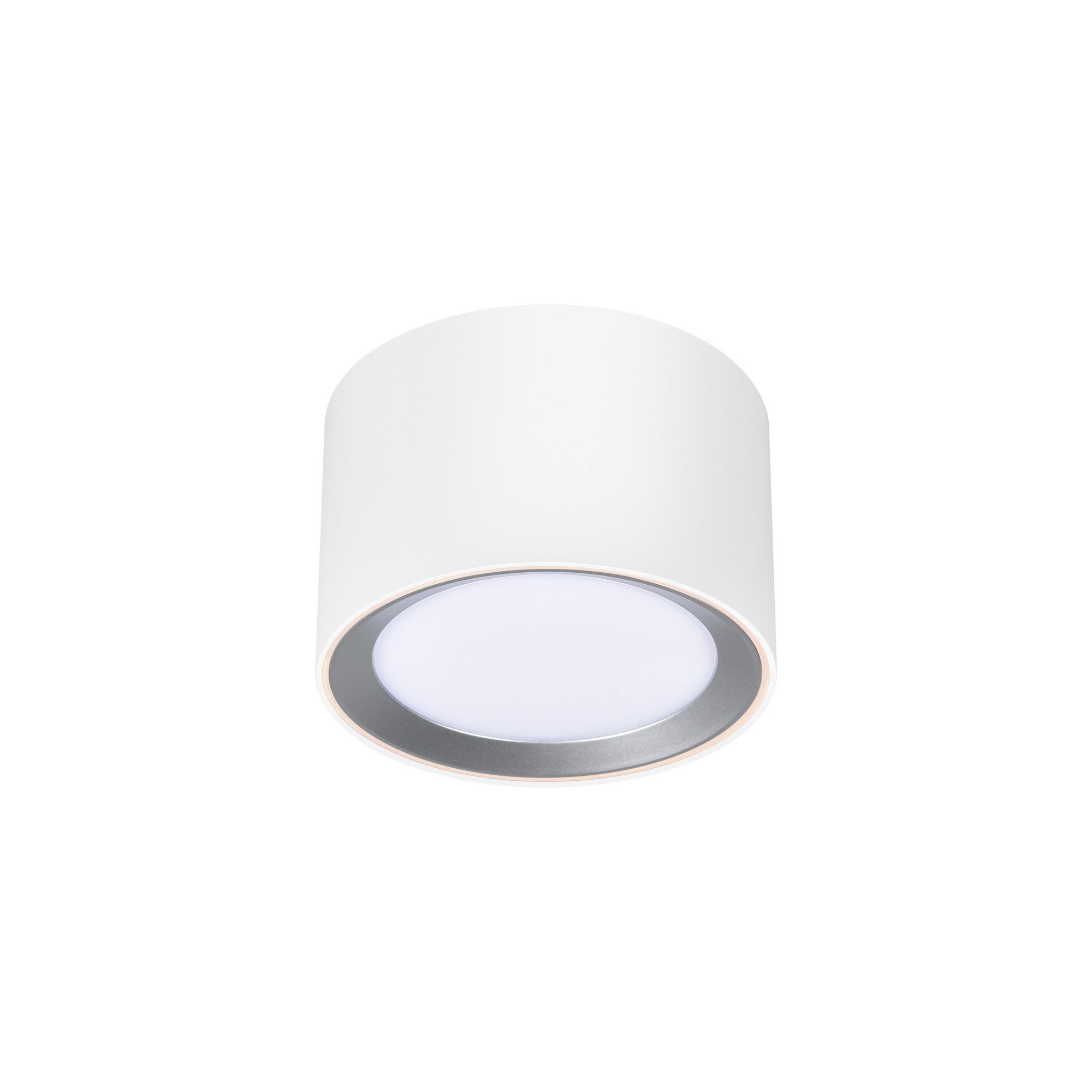 Surface spot LANDON 8 Métal Blanc, H.8.2 - IP44 - LED Module /Nordlux Intérieur - 3