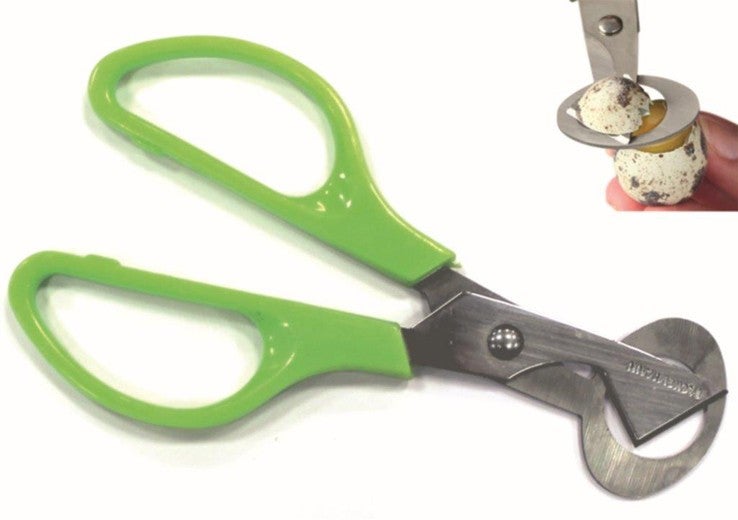 Ciseaux Pour œufs De Caille Fackelmann - Manche Polypropylène, Lame Inox, 14.5x6cm