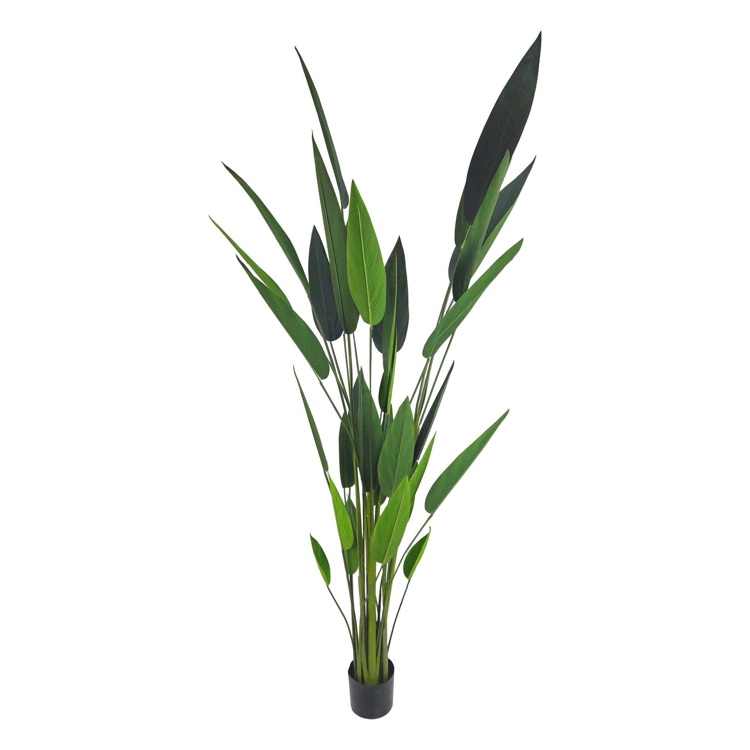 Tecnokit  Planta Artificial Strelizia 210 Cm , Leroy Merlin