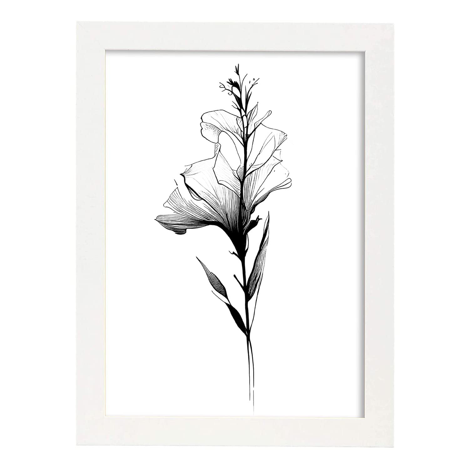 Nacnic poster de gladiolo estilo nórdico ilustraciones de botánica con flores y plantas en blanco y negro diseño y a3 con marco blancos