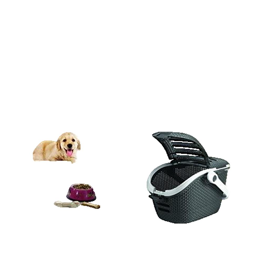 408739 Curver Pet Carrier 51x38x33 cm Anthracite 715085 - 3