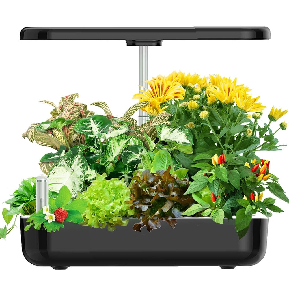 Potager Hydroponique Intérieur 12 Plantes - Système LED 36W Automatique Gris - Culture Sans Terre Herbes Légumes Fraîches Toute L'Année
