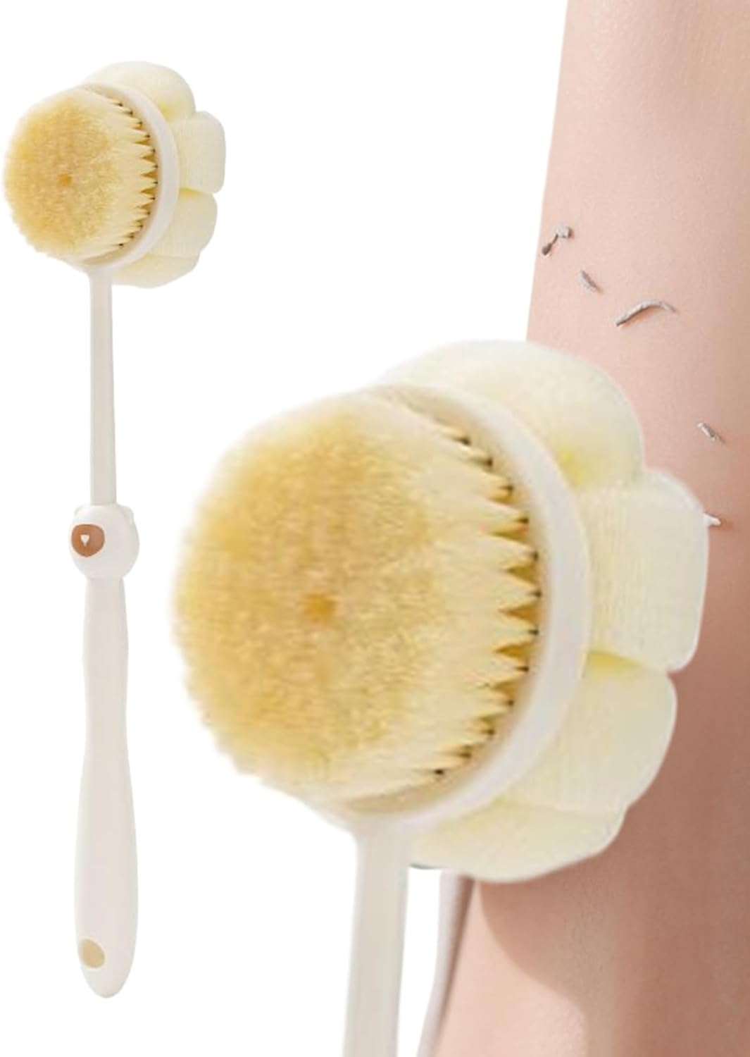 Brosse De Douche à Dos En Bois, Manche Long, Double Face - Pour Brossage à Sec Ou Humide