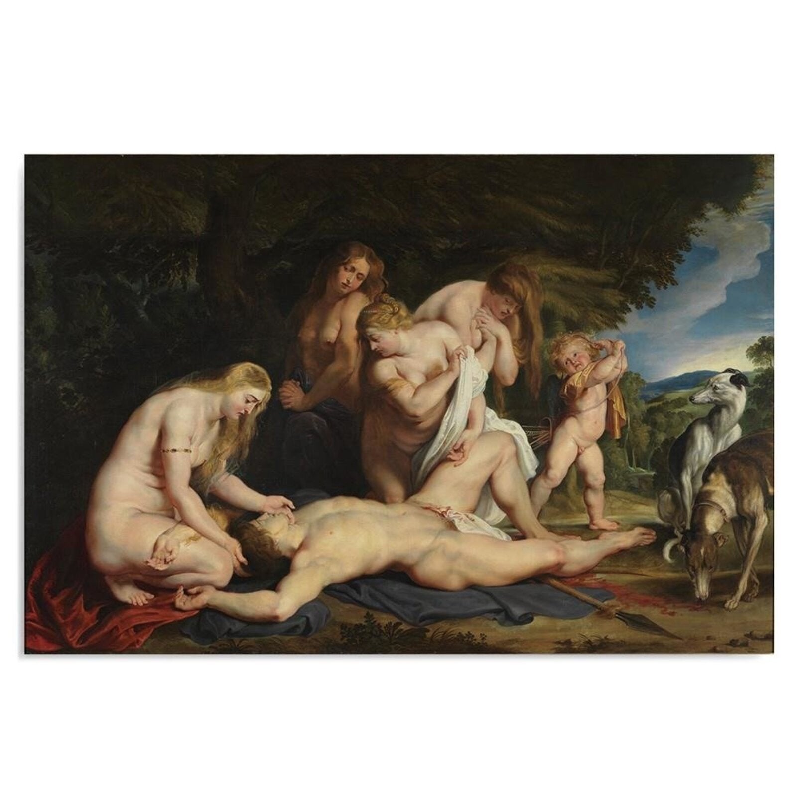 Obraz na płótnie, Adonis - P. P. Rubens reprodukcja 100x70