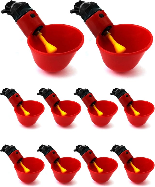 10 peças bebedouro automático para galinhas, bebedouro de plástico para aves, codornas, pombos, galinhas (25 mm, para baldes)