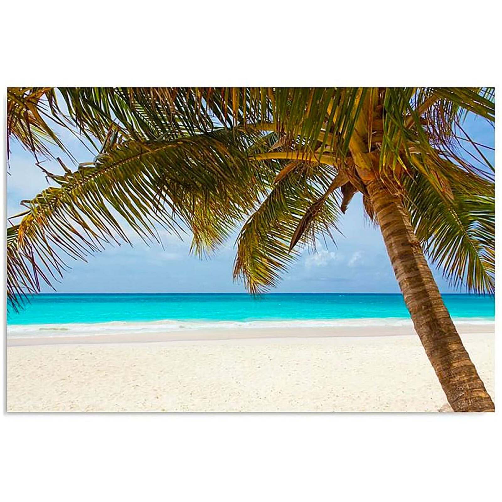 Bouée Palmier Gonflable Palmiers Gonflables Relaxdays Lot De 10 - Décoration Tropicale Piscine 80cm Décoration Piscine Tropicale Bouée Palmier Gonflable Palmiers Gonflables Relaxdays Lot De 10 - Décoration Tropicale Piscine 80cm Décoration Piscine Tropicale