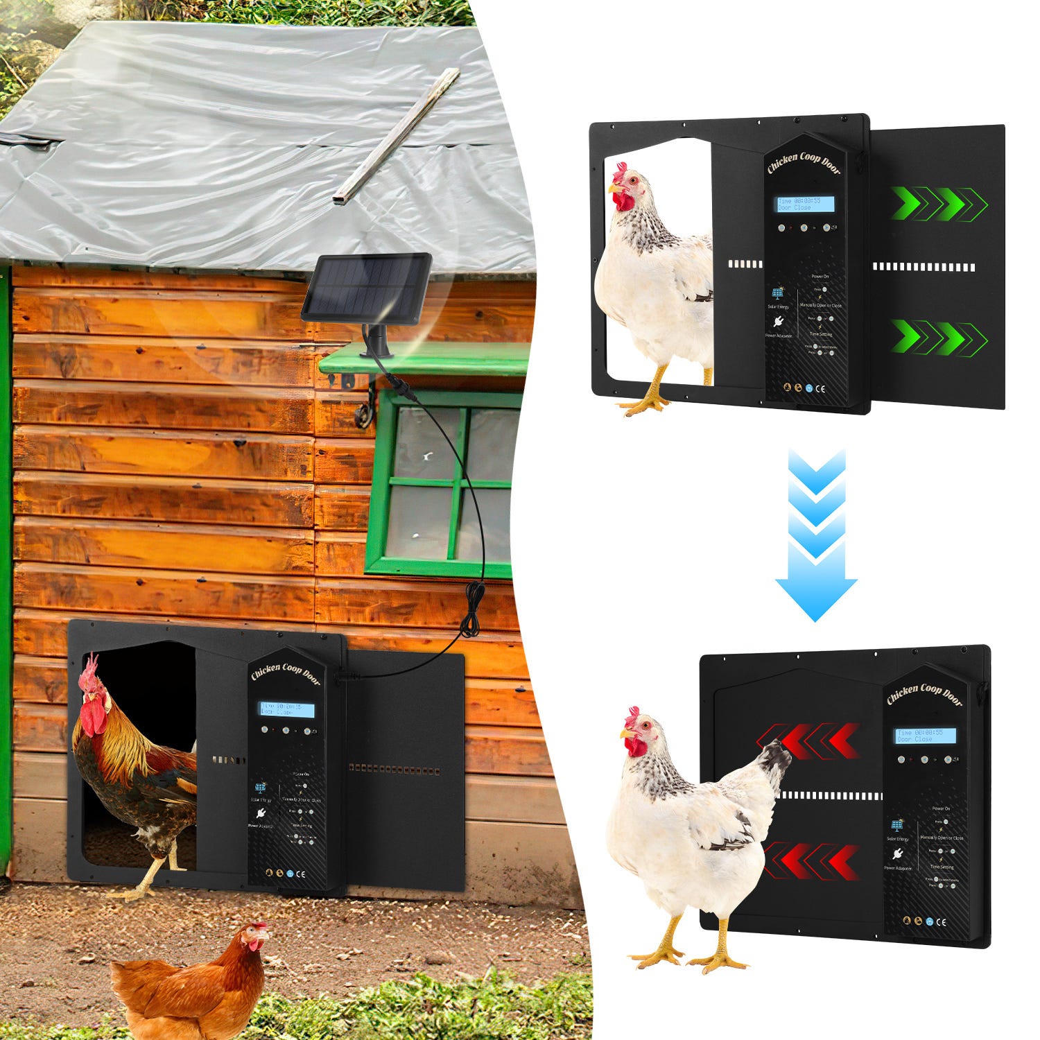 Porte Poulailler Automatique Solaire, Porte Automatique Poulailler avec Minuterie, Télécommande Porte Poulailler Automatique Solaire, Porte Automatique Poulailler avec Minuterie, Télécommande
