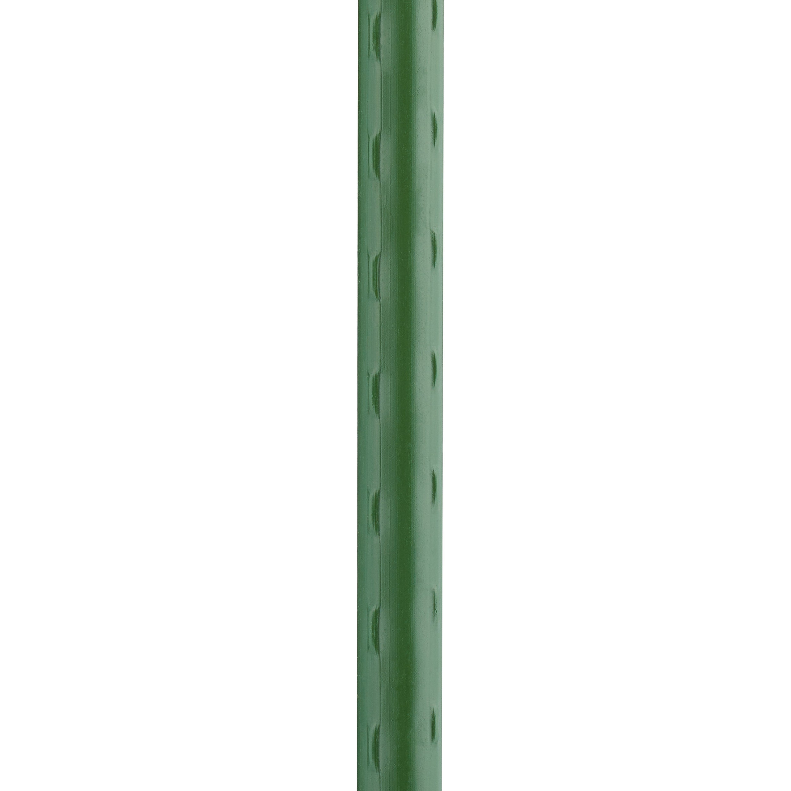 Tuteurs pour plantes, lot de 10, en acier plastifié, 120 cm et ø 10 mm, vert foncé, pour plantes grimpantes, Relaxdays - 6