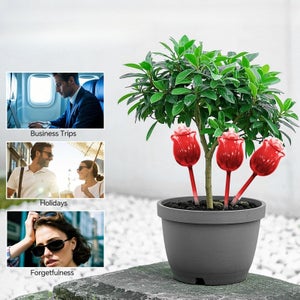 Arrosage Automatiqu Goutte à Goutte Pour Jardin,forme D'oiseau Science