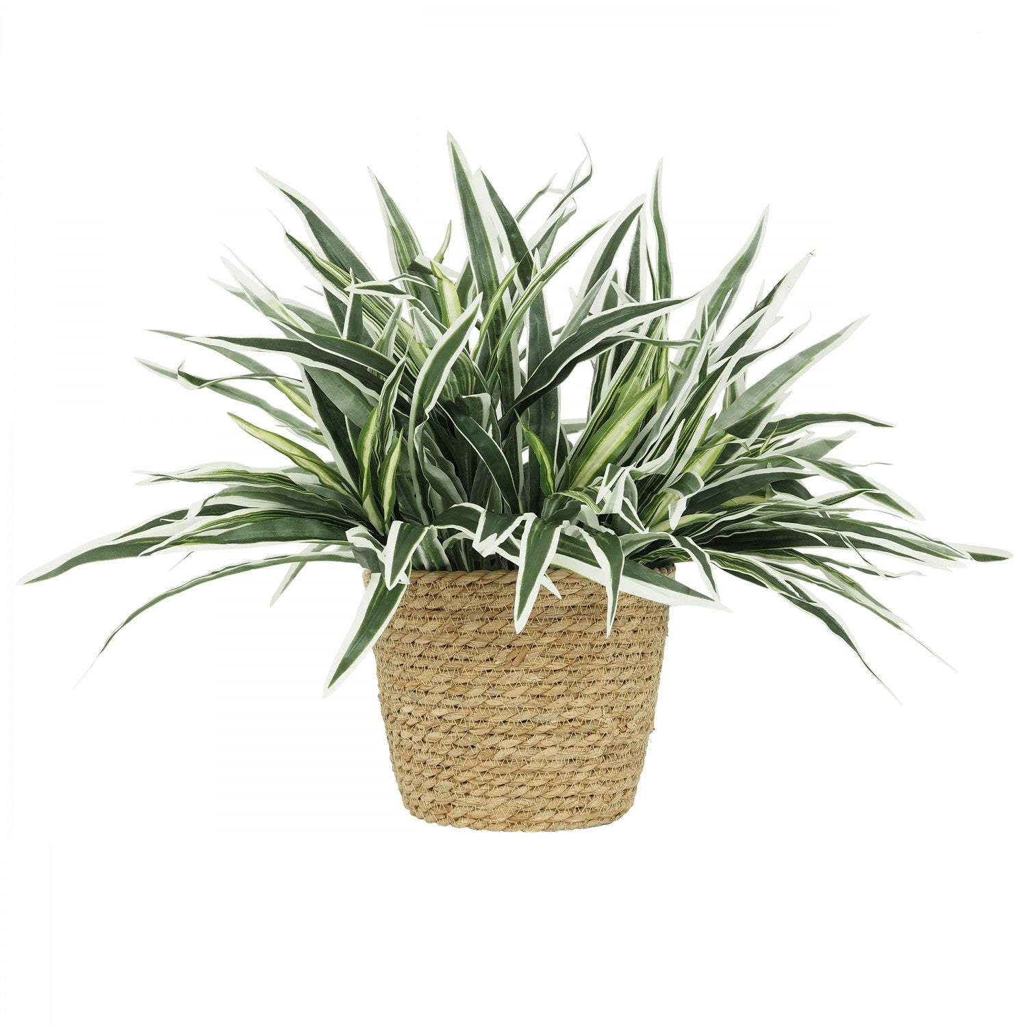 Chlorophytum artificiel en bouquet 42cm - 2