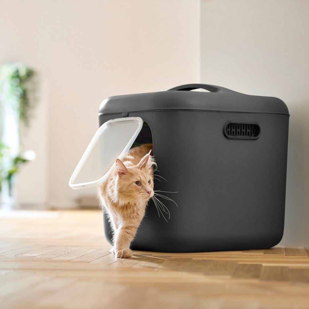 Litière Rotho Mypet Biala XL pour Chats - 61.4x49.2x57.6 cm en Anthracite - 5