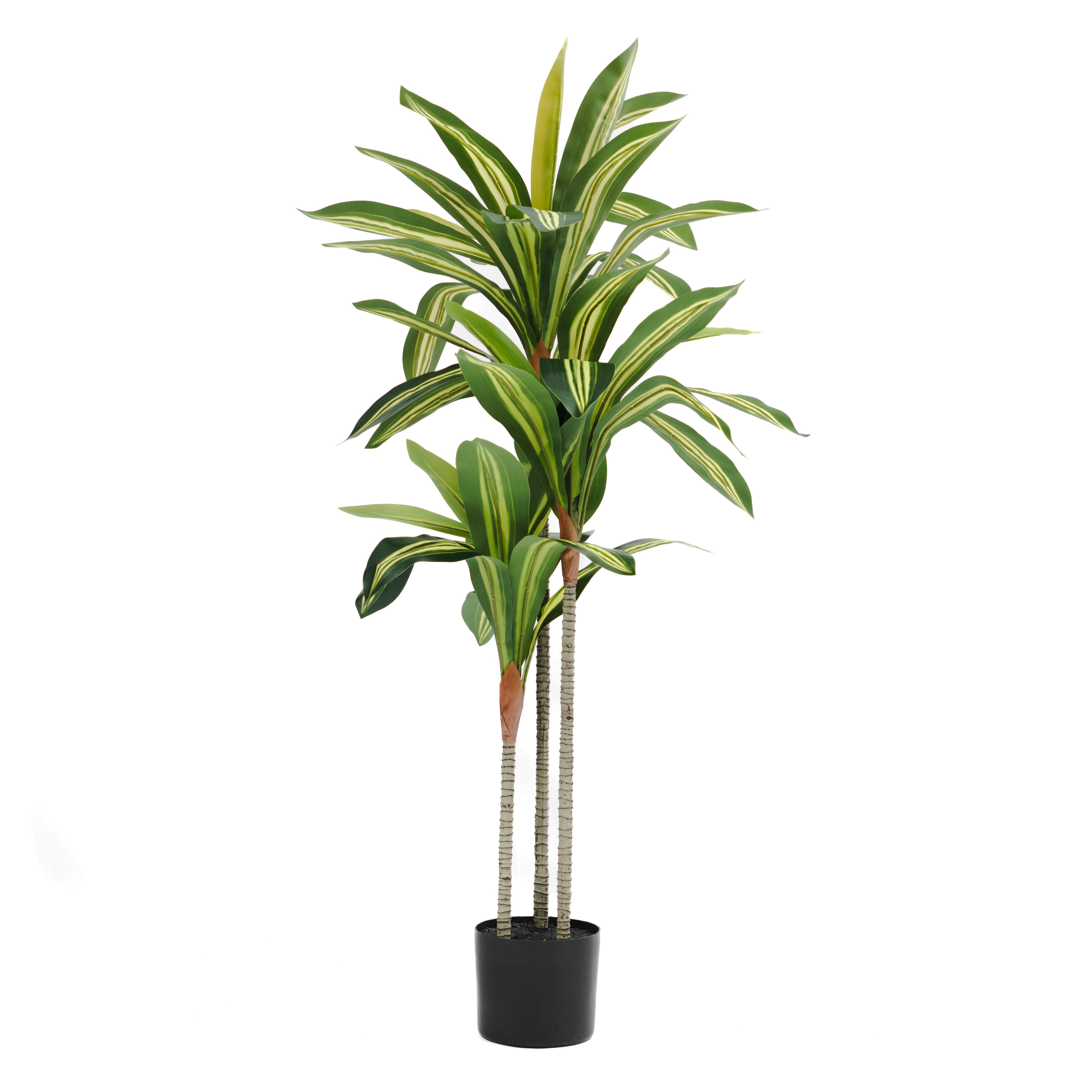 Valyria Home  Planta Artificial Dracaena 120 Cm, Drácena Artificial Negra , Leroy Merlin