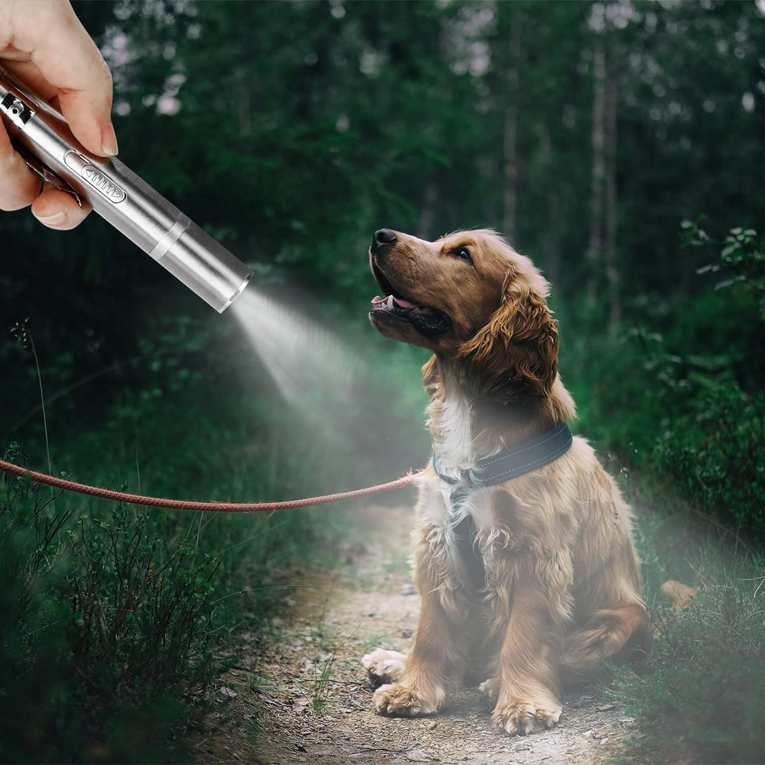 Juguetes para gatos con puntero luminoso, juguetes interactivos para gatos, juguete luminoso recargable por USB con LED rojo para gatos y perros - 5