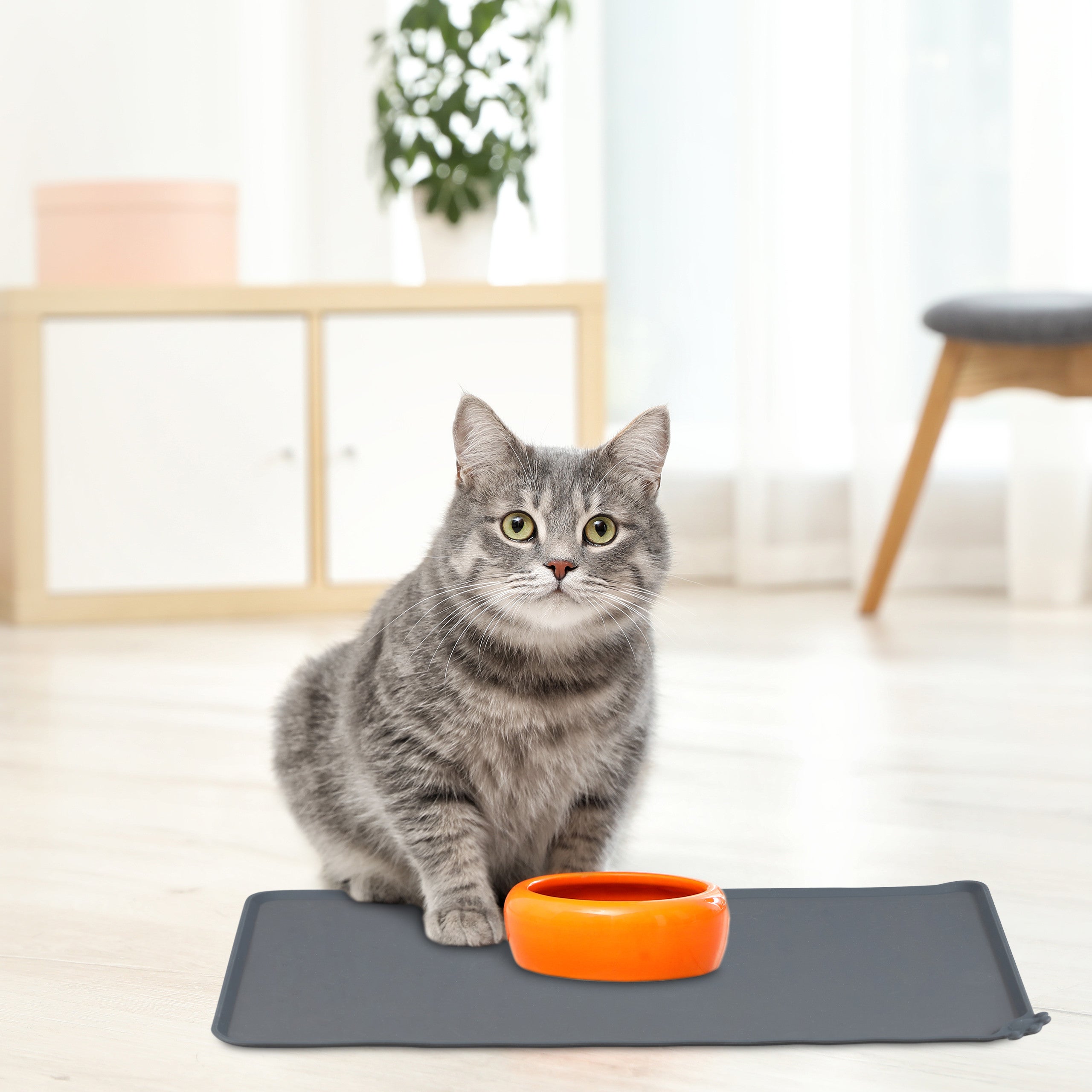 Bordo Rialzato Tappetino Silicone Per Ciotole Cane/Gatto