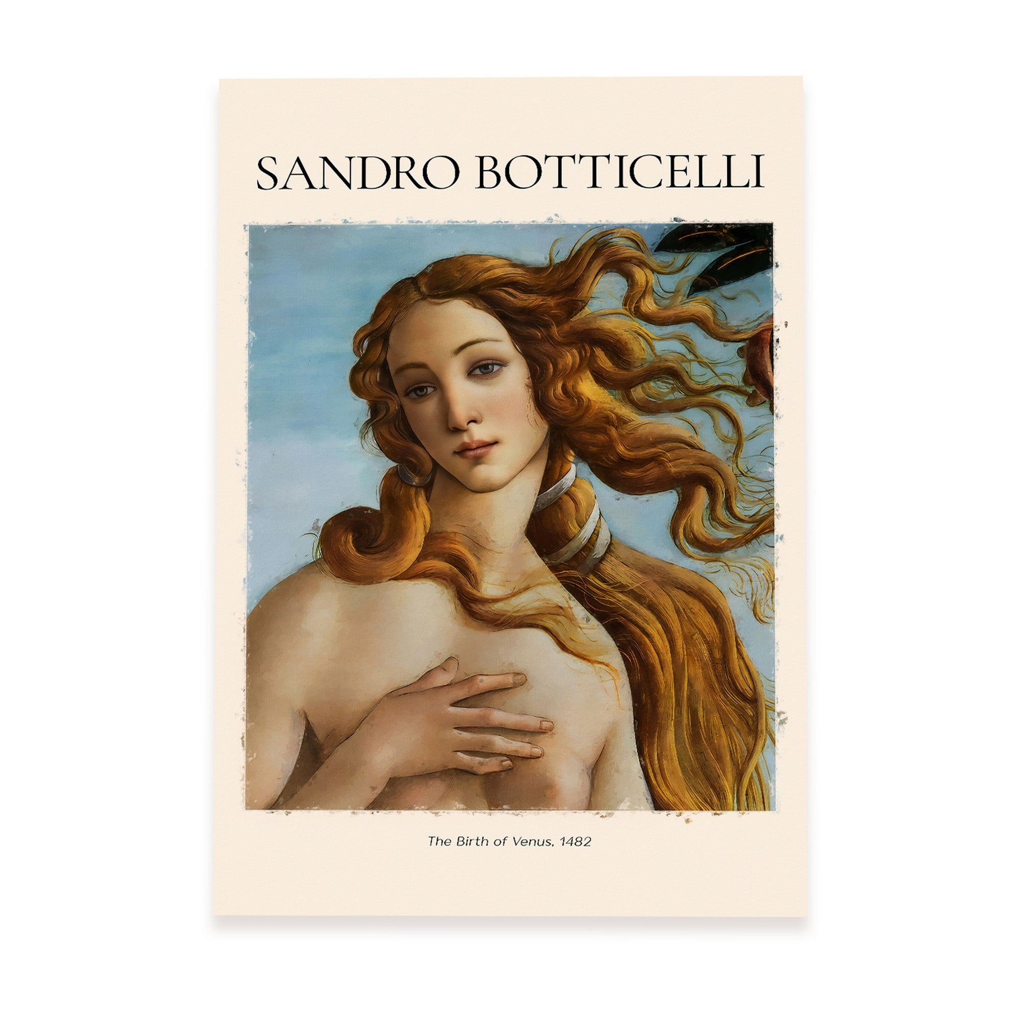 Poster Ou Toile Déco : La Naissance De Vénus De Botticelli - Reproduction D'art