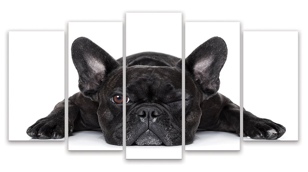 KIWISTAR Adesivo Murale Con Bulldog Francese | 6 Misure | Decorazione Pareti Per Soggiorno, Cucina, Cameretta - 4