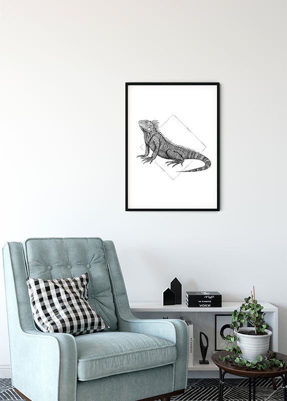 Poster d'art de Komar - Iguana White - Taille: 30 x 40 cm - 5