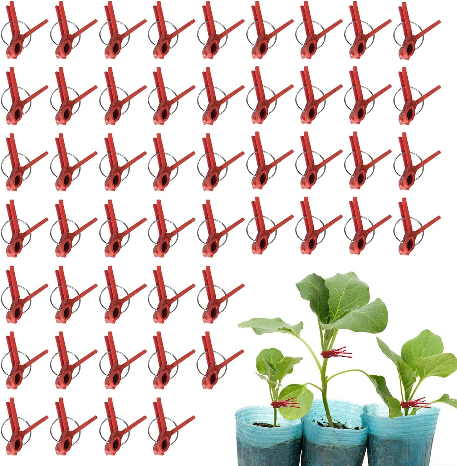 Spinki do szczepienia pomidorów, spinki do szczepienia bakłażanów - Opakowanie 50 spinek | Łączniki, podpory łączą dla ogrodników
