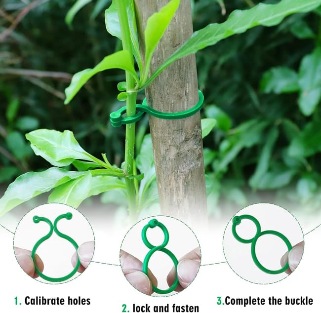 Clip di supporto per vi in plastica, fermi per piante rampicanti come Clip di supporto per vi in plastica, fermi per piante rampicanti come