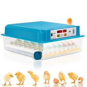 Incubatrice Per Uova Automatica 12 Uova - Con Girauova, Termostato, Display LED, Per Tartarughe E Rettili - Foto 9