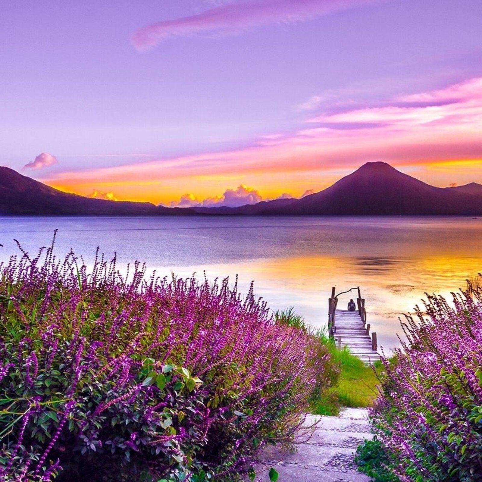 Tableau bois violet paradis - 120 x 80 cm - 4