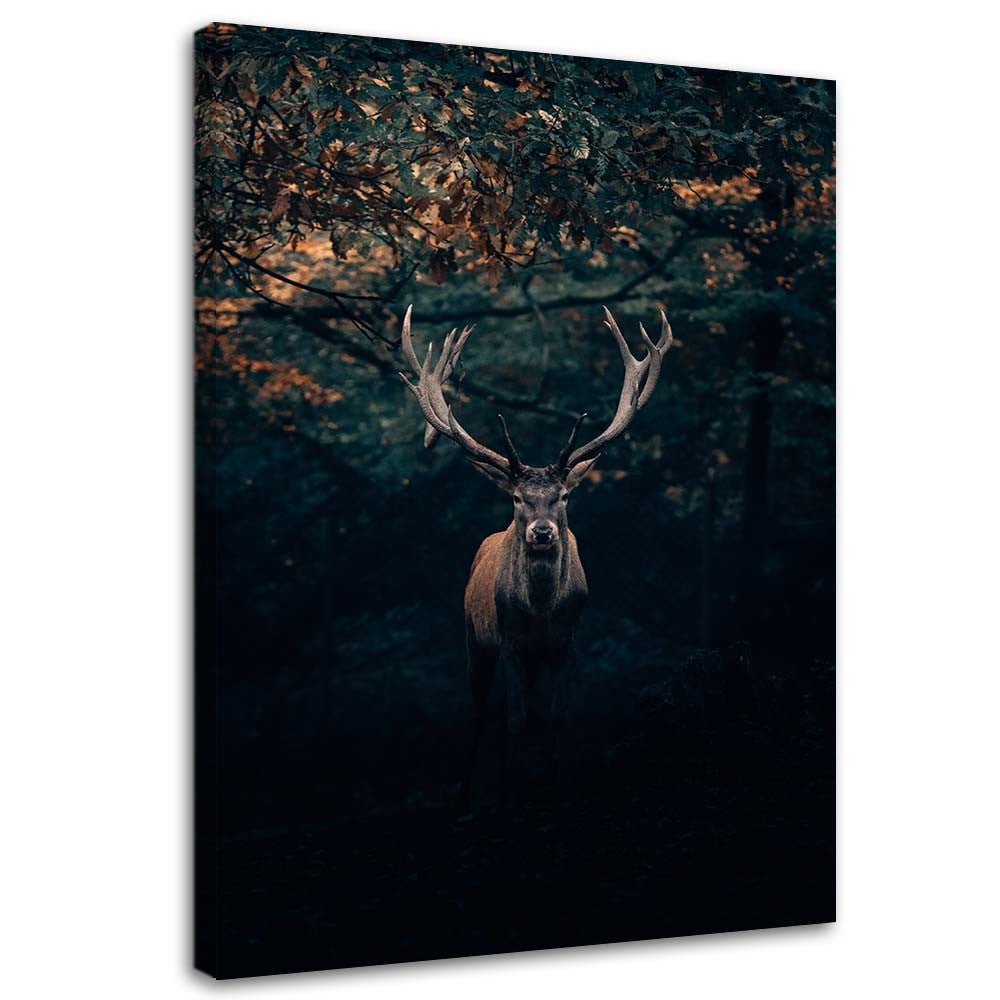 Obraz na płótnie, Jeleń w zaroślach 70x100