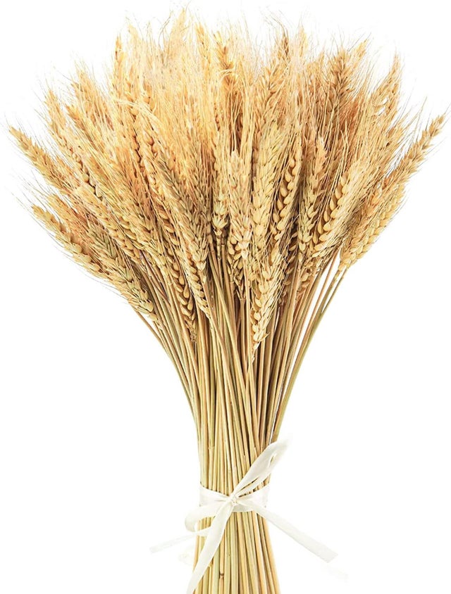 100pcs 40cm Bouquet De Fleurs De Blé Séchées De Naturel De Fleur Sechees Naturel Fleur Sechees Decoration Fleurs Séchées Mariage Fleurs Séchées