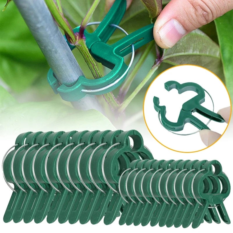 Clip Di Supporto Per Piante Rampicanti - 50 Clip In Plastica PP Per Pomodori, Uva, Verdure - Fissaggio Per Traliccio E Giardinaggio Verticale - 2