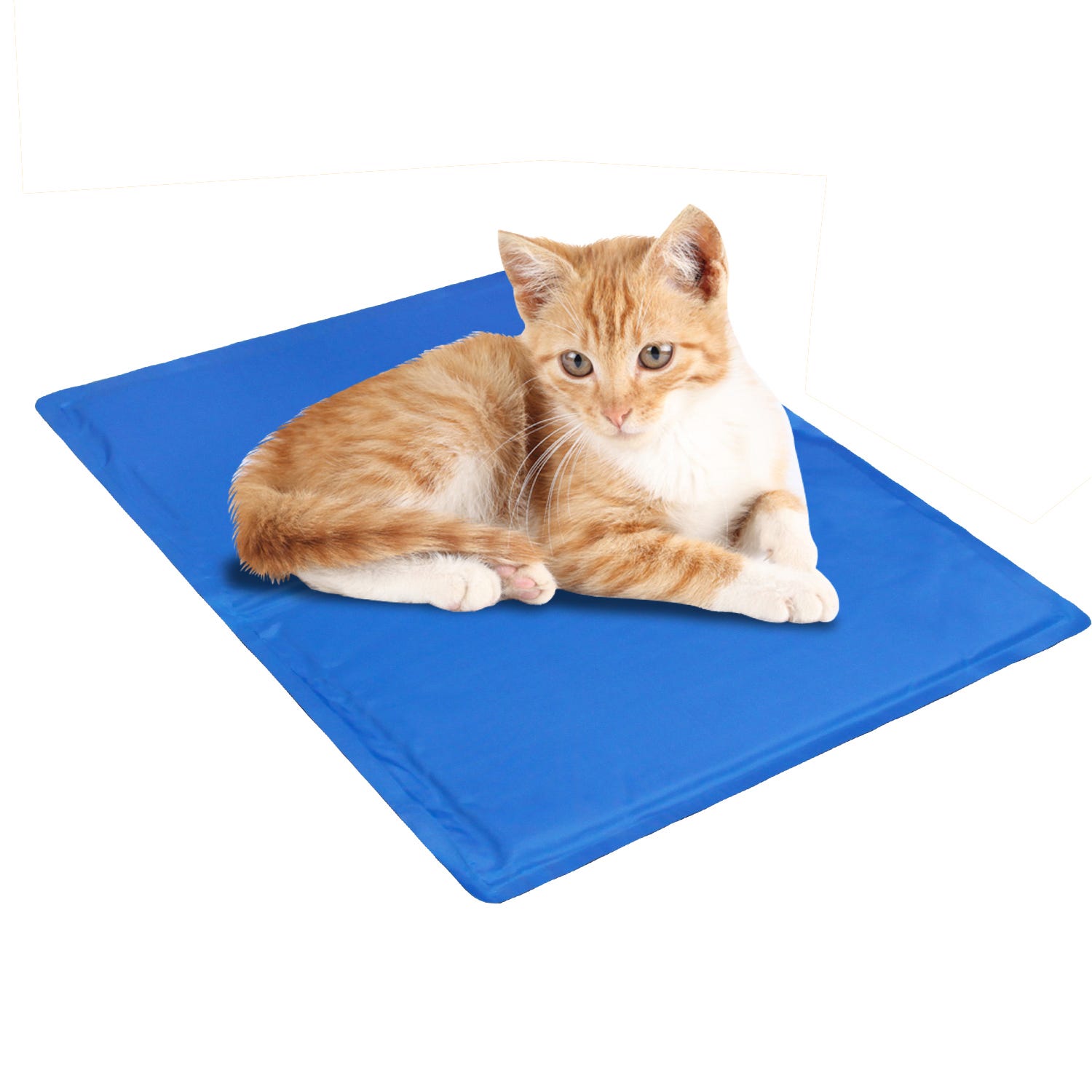 Retoo Tapis de Refroidissement pour Ordinateur Portable 12 à 17 Pouces Retoo Tapis de Refroidissement pour Ordinateur Portable 12 à 17 Pouces