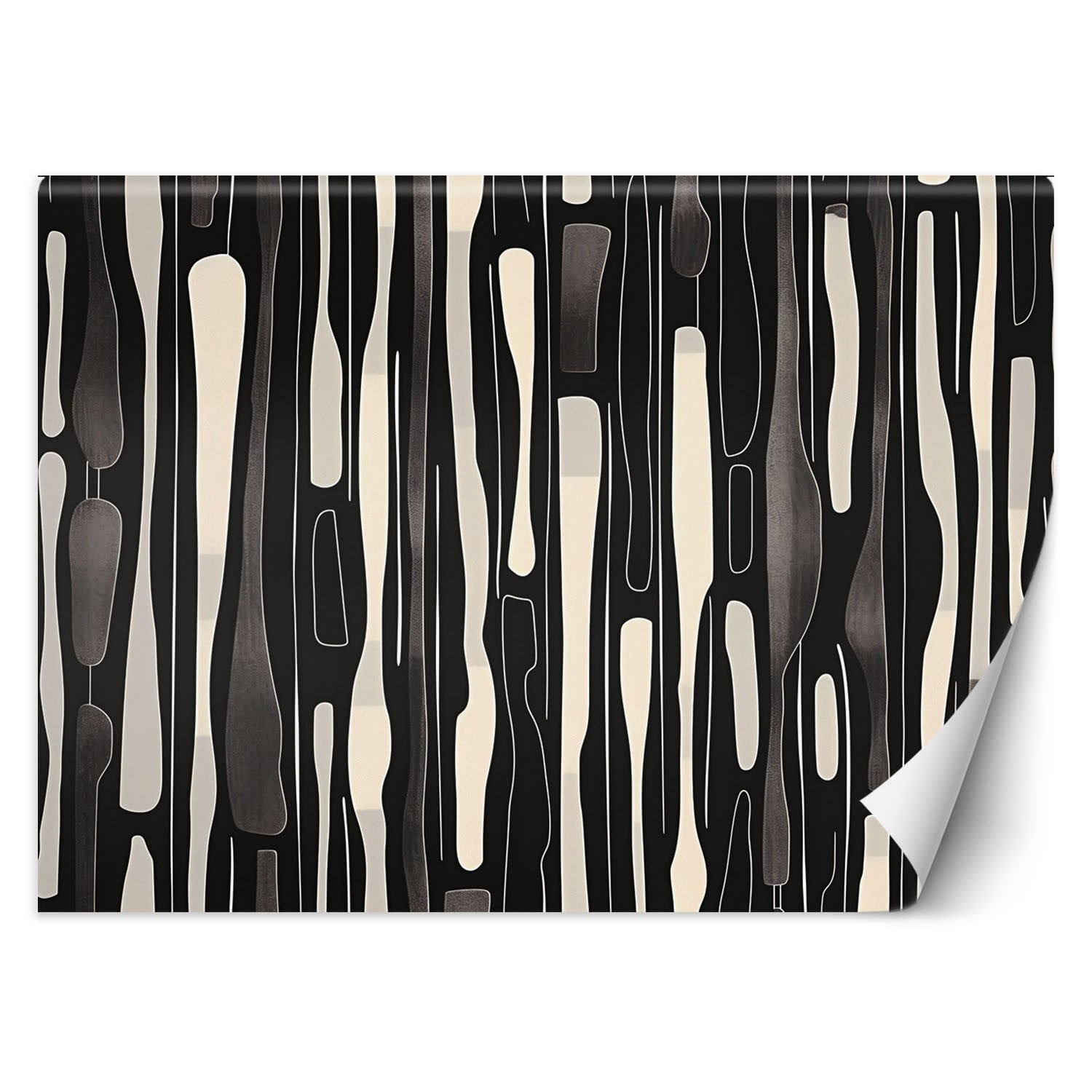 Fototapeta, Czarno biała abstrakcja 100x70