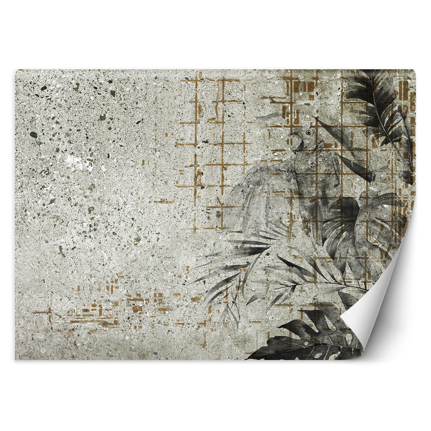 Fototapeta, Monstera Liście betonowa ściana 250x175