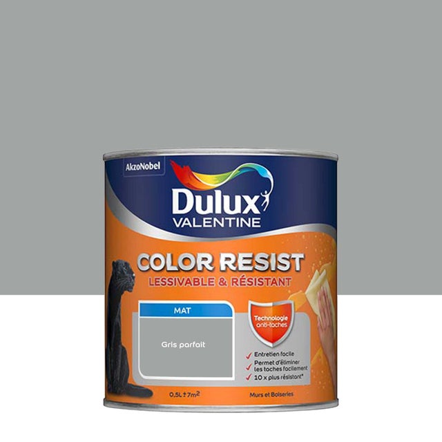 Peinture Color Resist Murs & Boiseries Gris Parfait