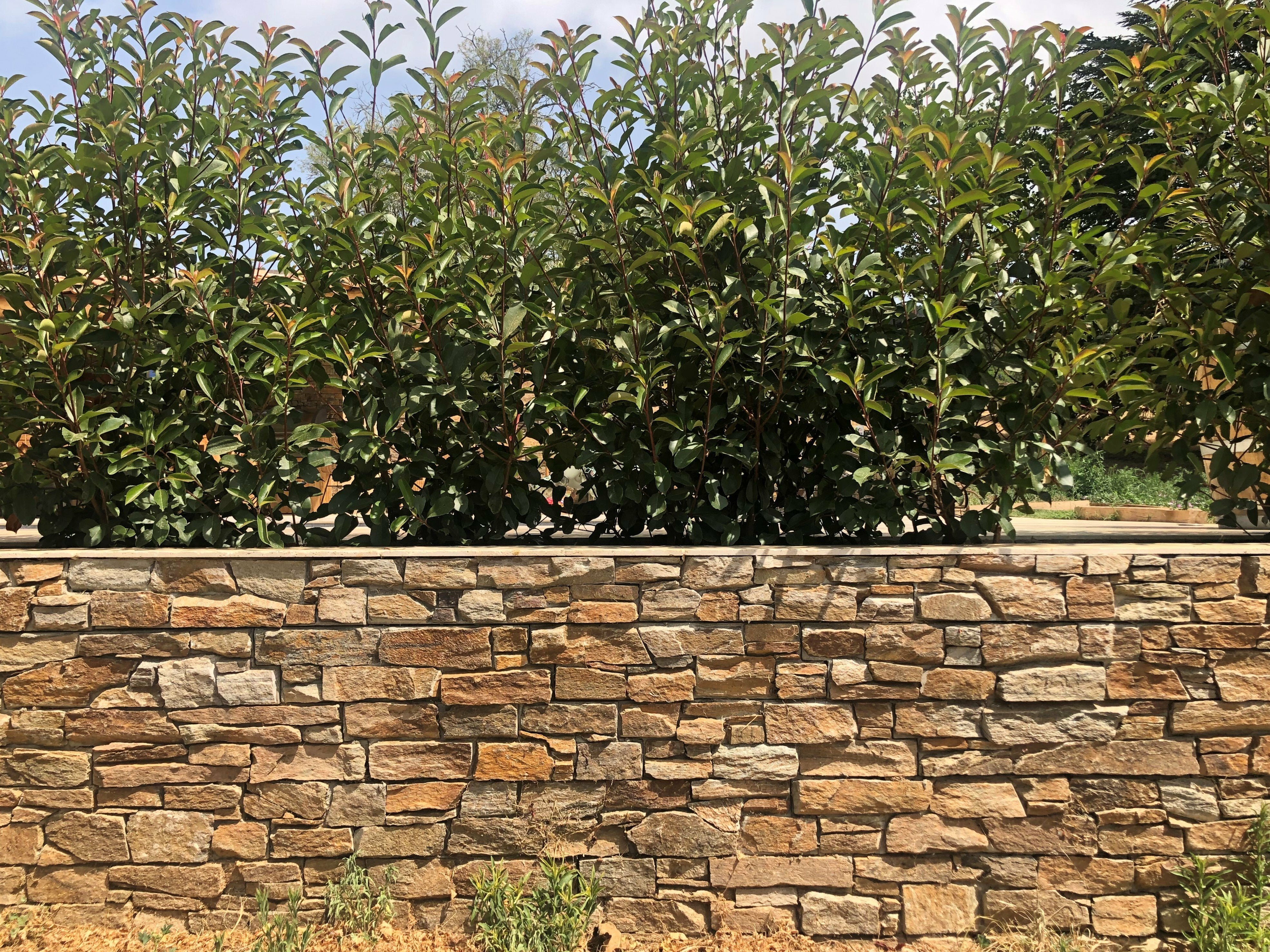 EASYPANEL - Parement mural - Quartzite - Sahara - 8