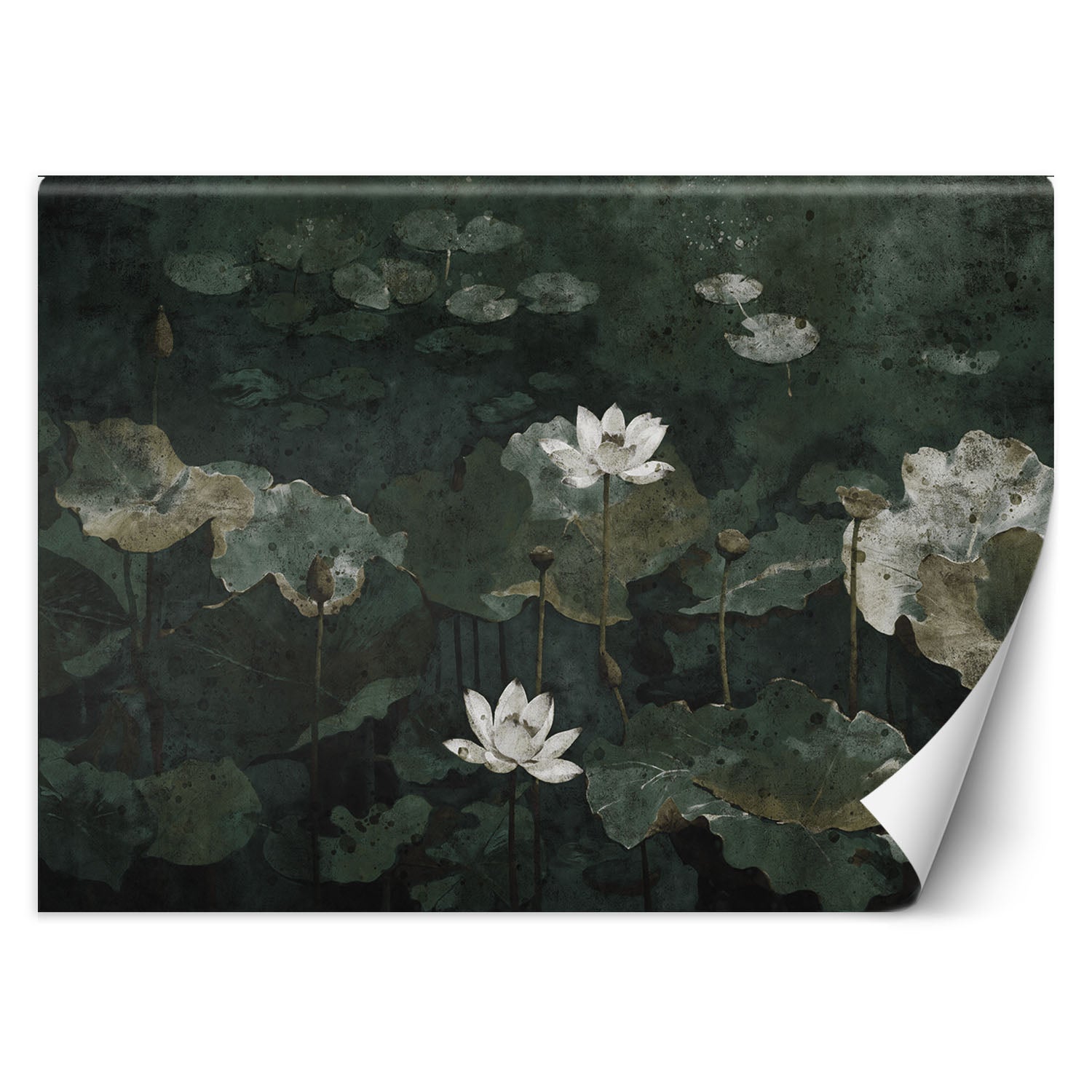 Fototapeta, Lilie wodne vintage 450x315