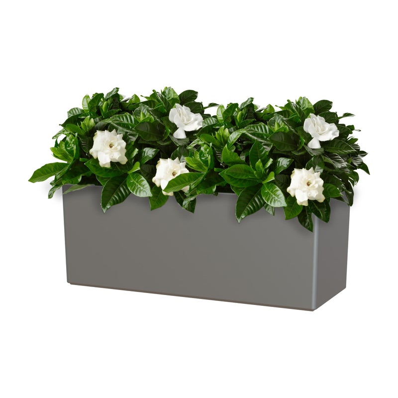 Donica samozasysająca z polipropylenu Rimini szary / srebrny 51x20x20 cm