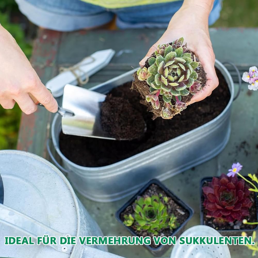 Lot de 50 pots de fleurs carrés en plastique noir de 5,5 cm pour plantes succulentes, semis, boutures, repiquage - 3
