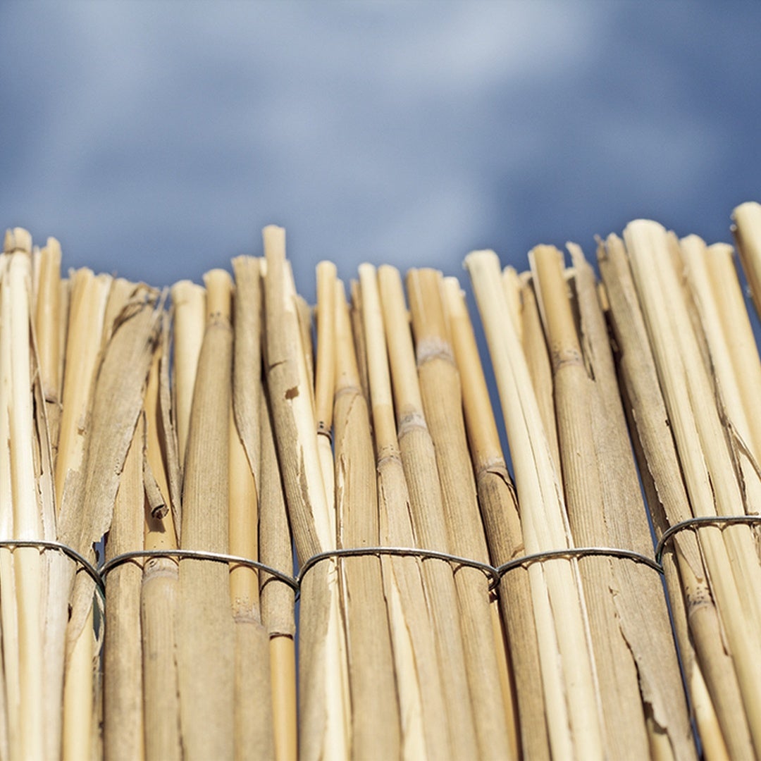 CAÑIZO MULTIVARILLA MARCA CATRAL - 5