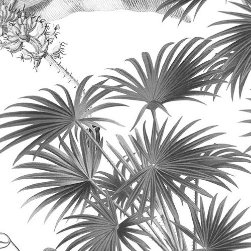 Fotomurale in tessuto non tessuto di Komar - Croissances Monochrome - Dimensione: 400 x 280 cm - 8