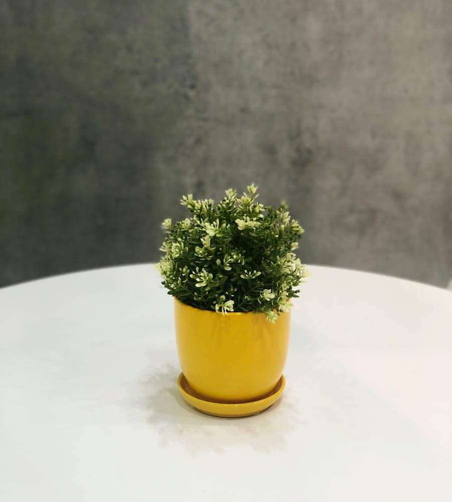 Lot de 2 Pots de Fleurs, en Céramique, pour Fleurs, Plantes, Diamètre : 13 cm, avec Bac d'Égouttement, Jaune - KOTARBAU - 3