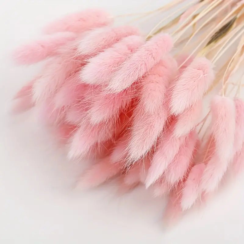 Un bouquet de 60 fleurs de pampa roses séchées — une décoration ...