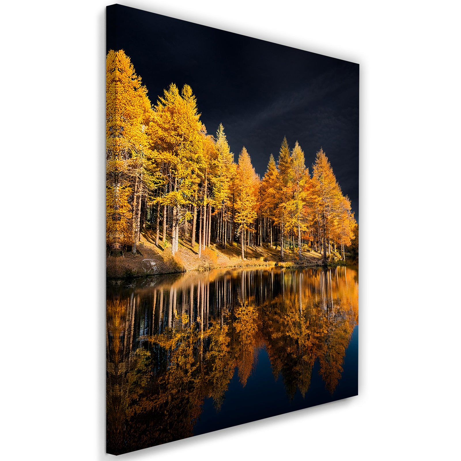 Obraz na płótnie, Złoty Las nad jeziorem Pejzaż 70x100