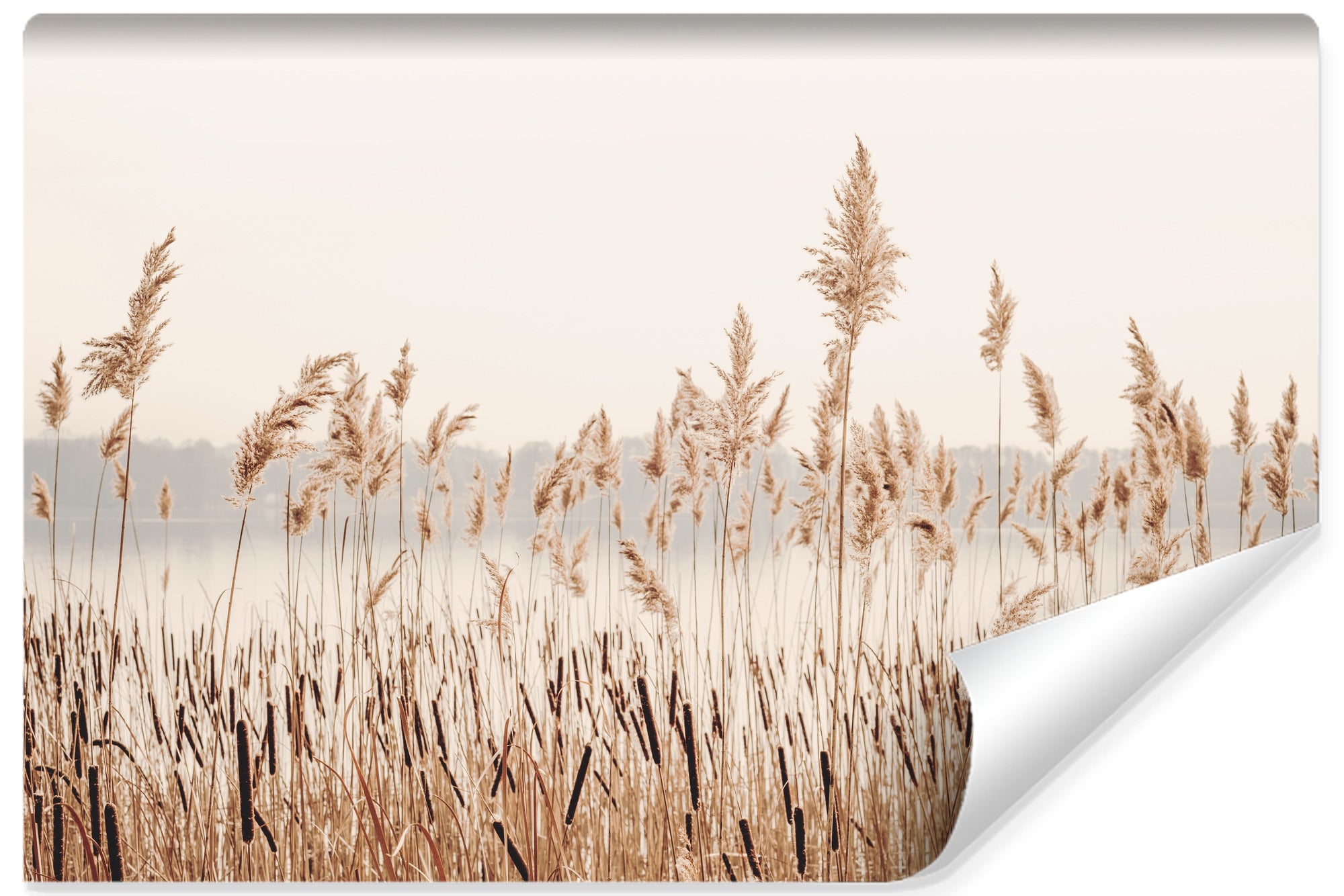 3d paisaje plantas de caña naturaleza papel pintado no tejido para salon 400cm x 280cm